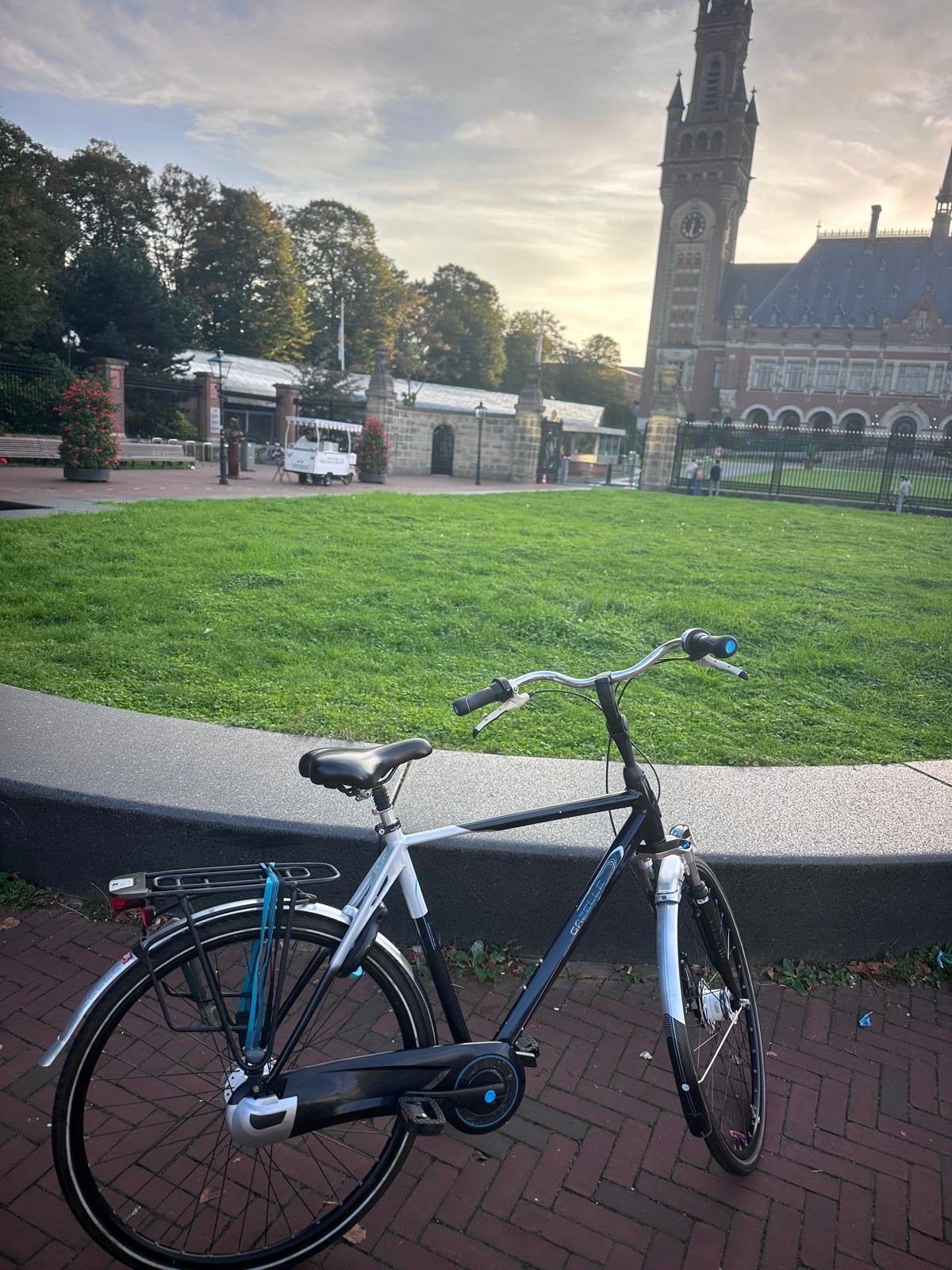 Foto 3 van Gazelle stadsfiets - 8 versnellingen framemaat 57