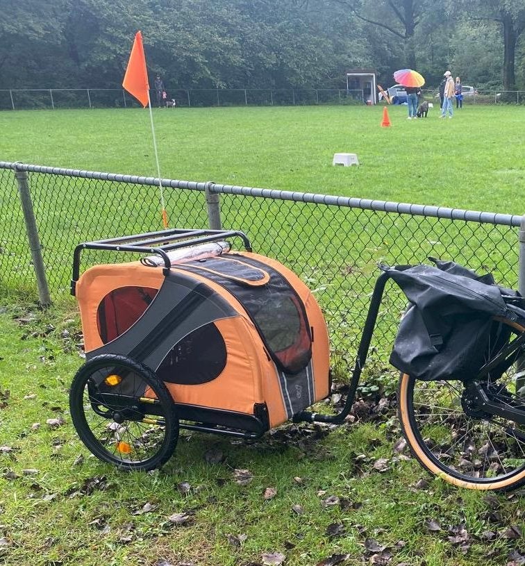 DutchDog Doggyride original hondenfietskar, Ophalen, Zo goed als nieuw, Hondenkar, Opvouwbaar