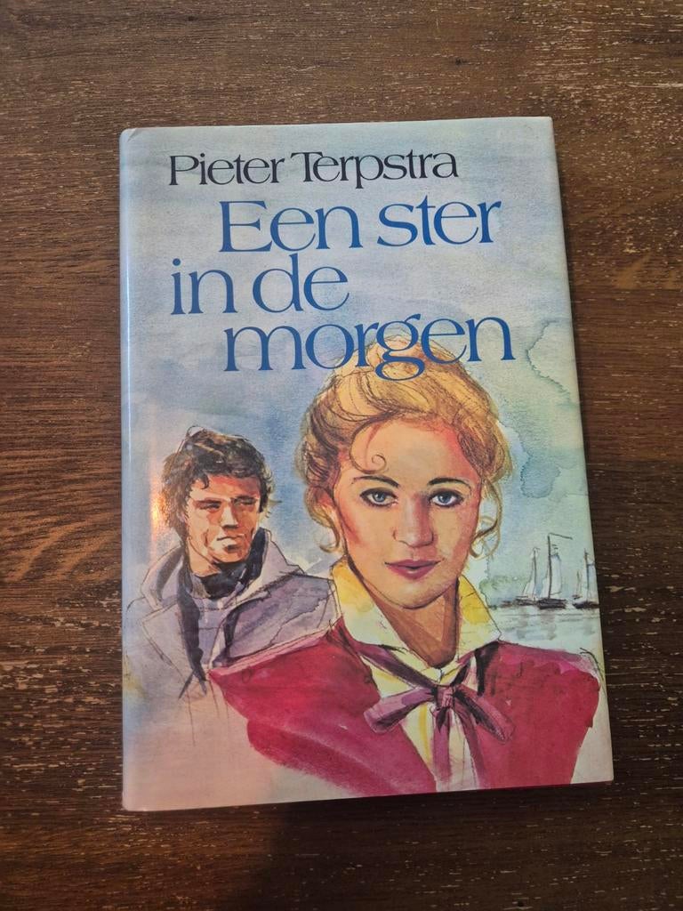 Een ster in de morgen - Pieter Terpstra (roman), Ophalen of Verzenden, Gelezen, Pieter Terpstra, Nederland