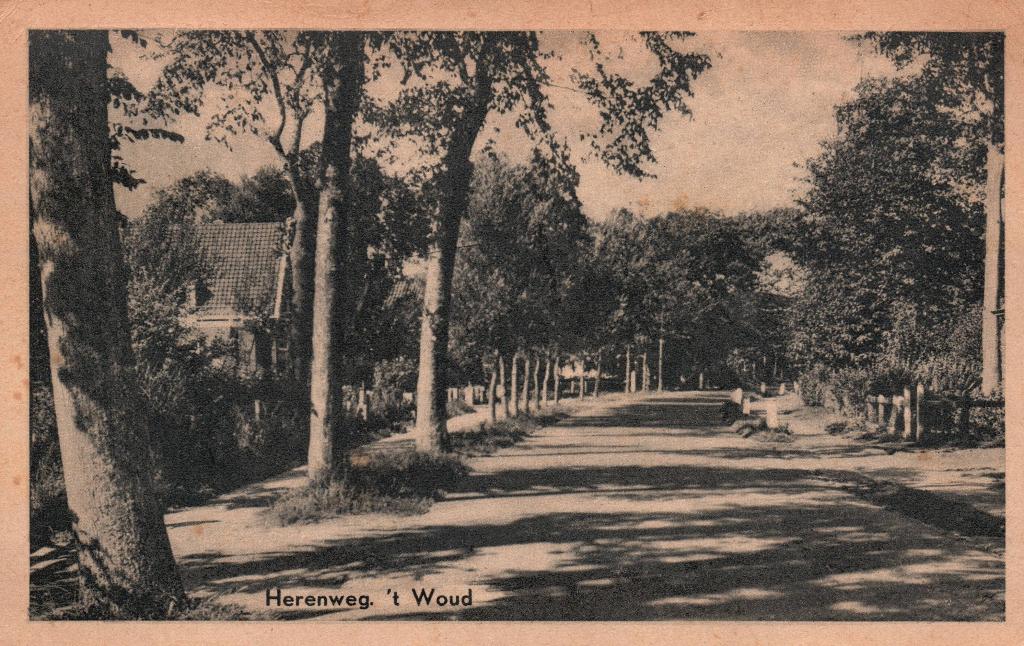 Herenweg t Woud (NH)  131338, Ophalen of Verzenden, Gelopen, Noord-Holland