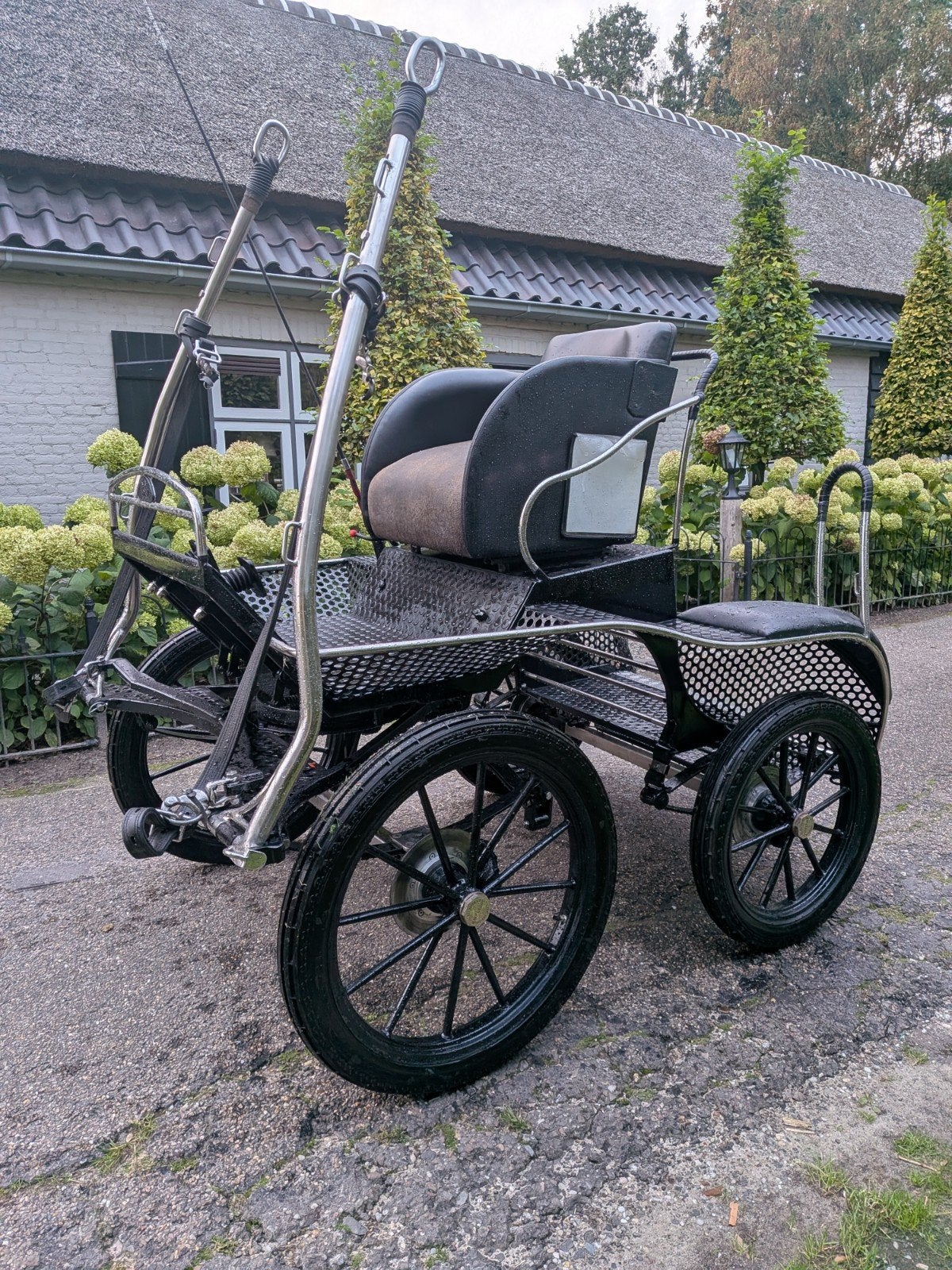 marathon wagen pony, Dieren en Toebehoren, Marathonwagen, Pony