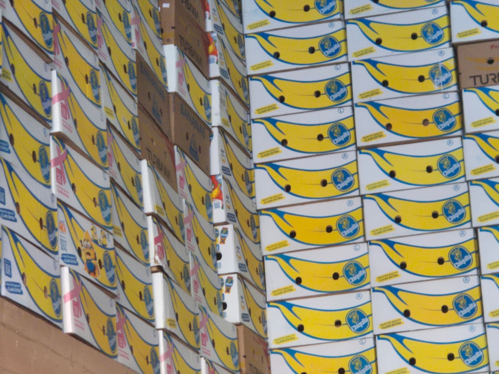 Grote partij bananendozen - ideaal voor opslag/verhuizing, Ophalen