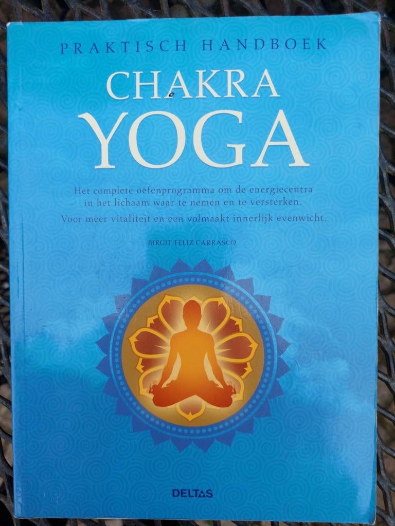 B. Feliz Carrasco - Chakra Yoga, Achtergrond en Informatie, Spiritualiteit algemeen, Ophalen of Verzenden, Zo goed als nieuw