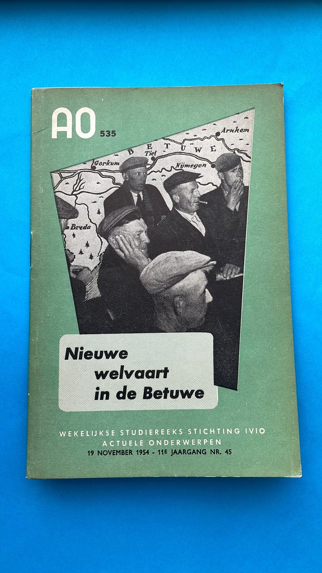 Betuwe (BESCHIKBAAR TOT ZONDAG), Boeken, Ophalen of Verzenden, 19e eeuw, Gelezen