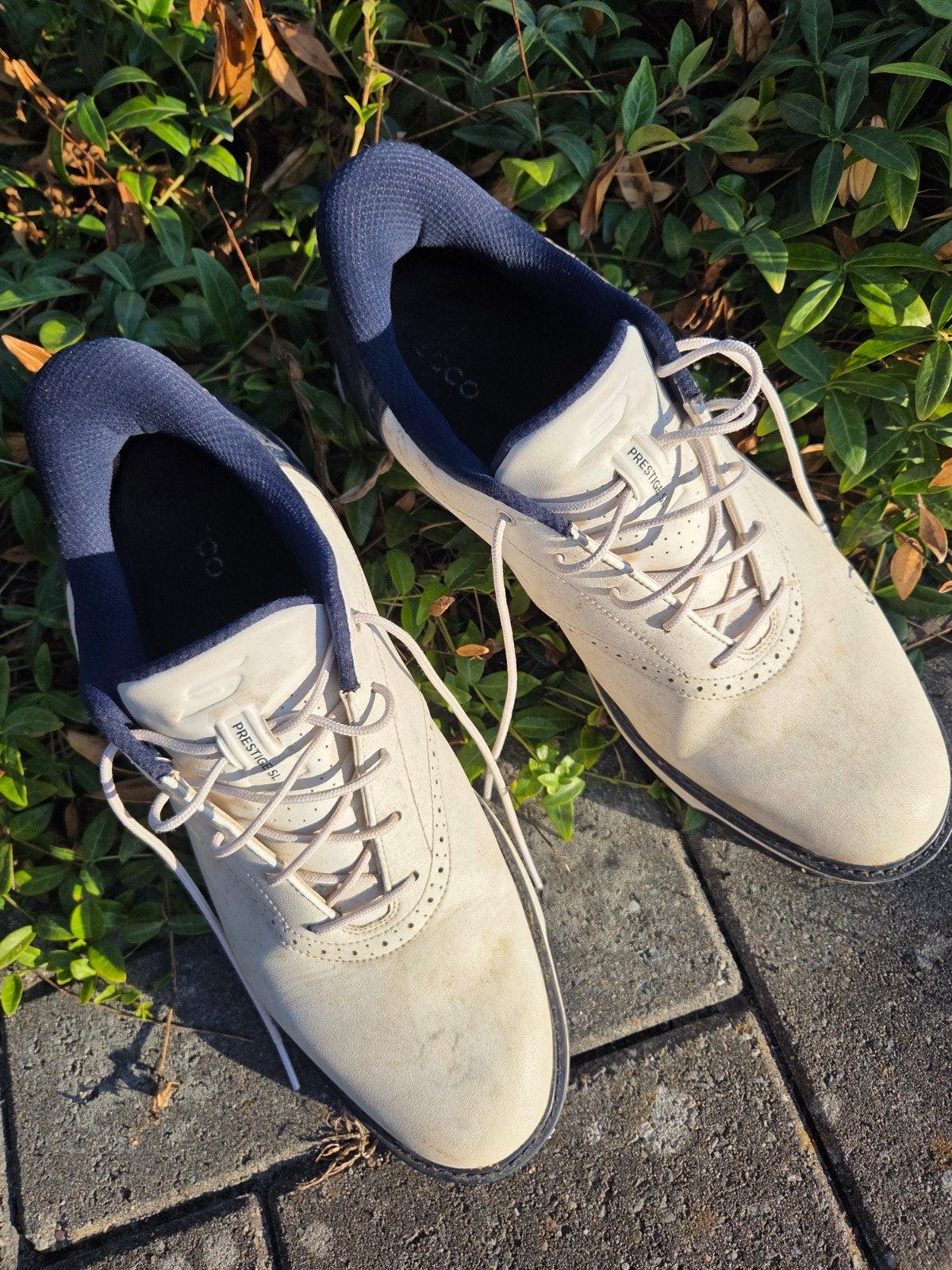 Golf schoenen Ecco, Ophalen, Schoenen