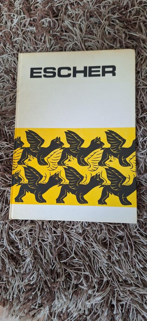 Escher Kunstboek - Grafische Vormgeving, Ophalen of Verzenden, Gelezen, Grafische vormgeving, M.C. Escher