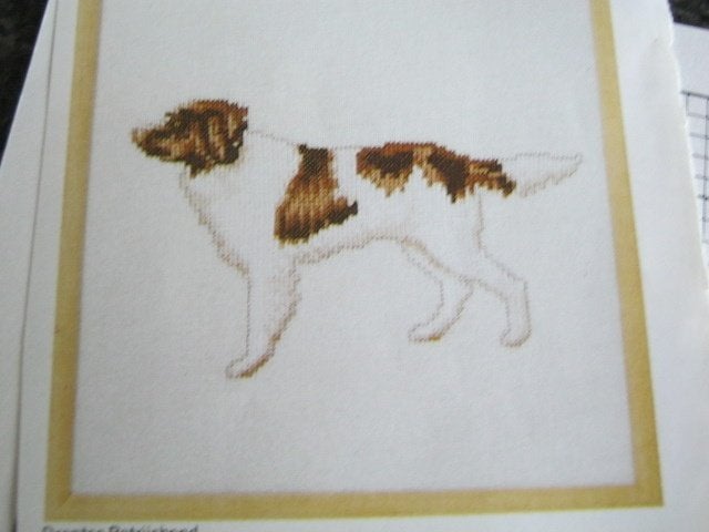 Borduurpatroon  Hond Drentse Patrijs hond   nr 9670, Verzenden, Nieuw, Handborduren, Patroon