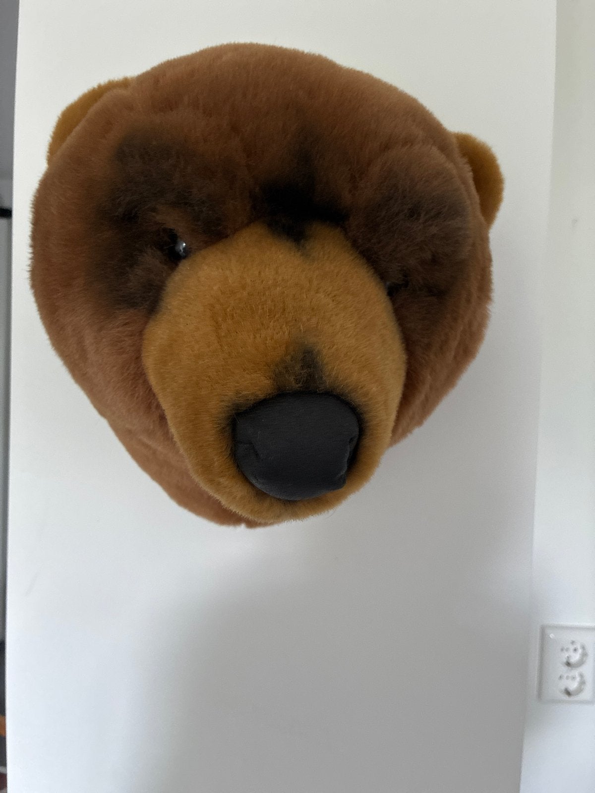 Pluche Berenkop Wanddecoratie - Bruin, Ophalen, Overige stijlen, Zo goed als nieuw, Bruin