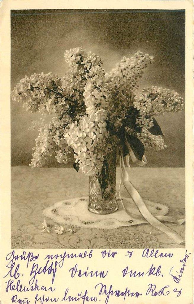 381-288-017 Bloem, Verzenden, Voor 1920, Overige thema's