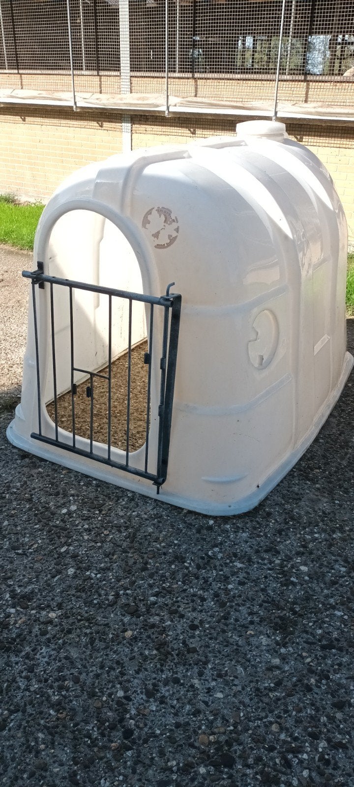 kalveriglo te koop