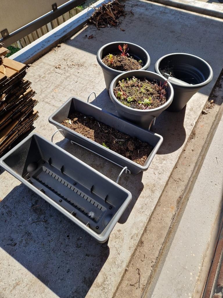 Balkonbakken planten - 5 stuks, Ophalen, Kunststof, Minder dan 30 cm, Balkon