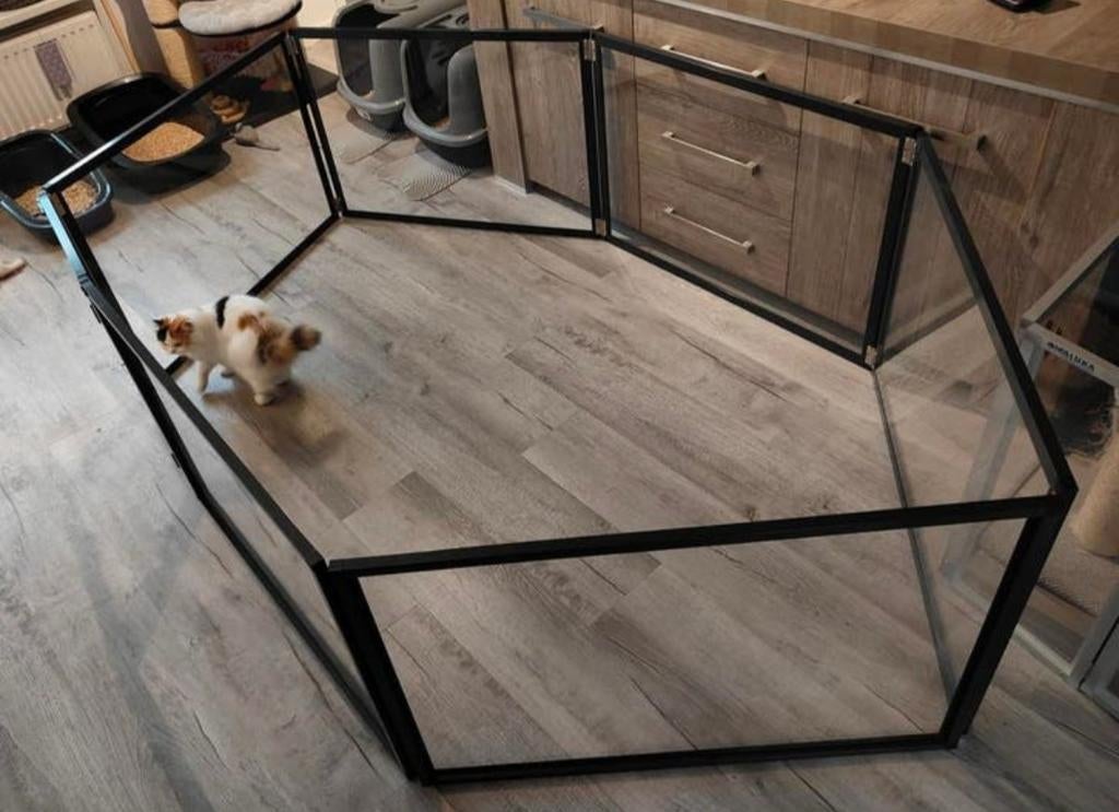 Prachtige zwarte kittenren/puppy/konijn aluminium plexiglas, Ophalen, Zo goed als nieuw
