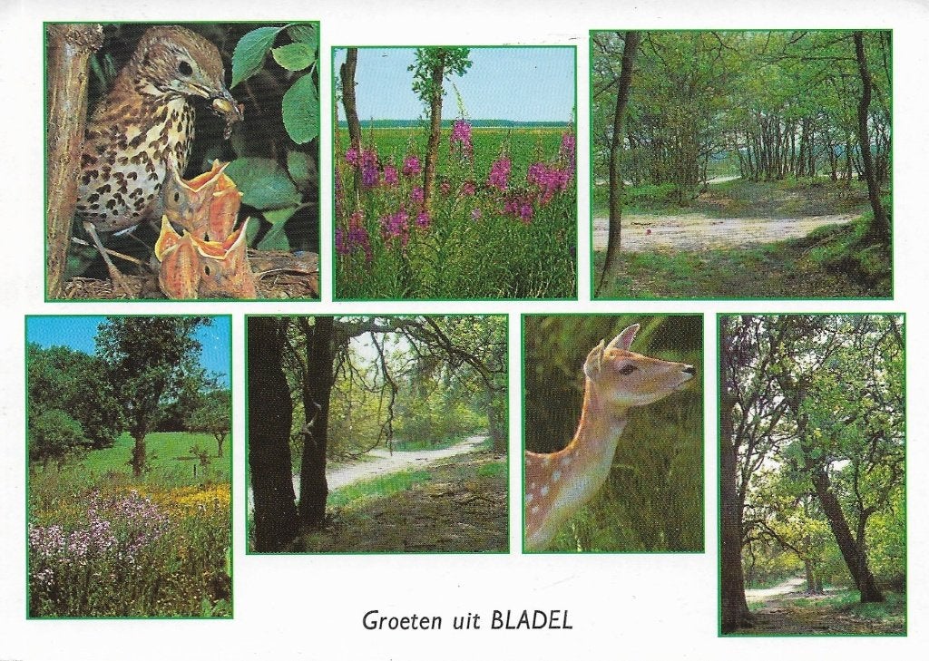 Ansichtkaart  	Bladel	7-luik	natuur, Verzenden, 1980 tot heden, Gelopen, Noord-Brabant