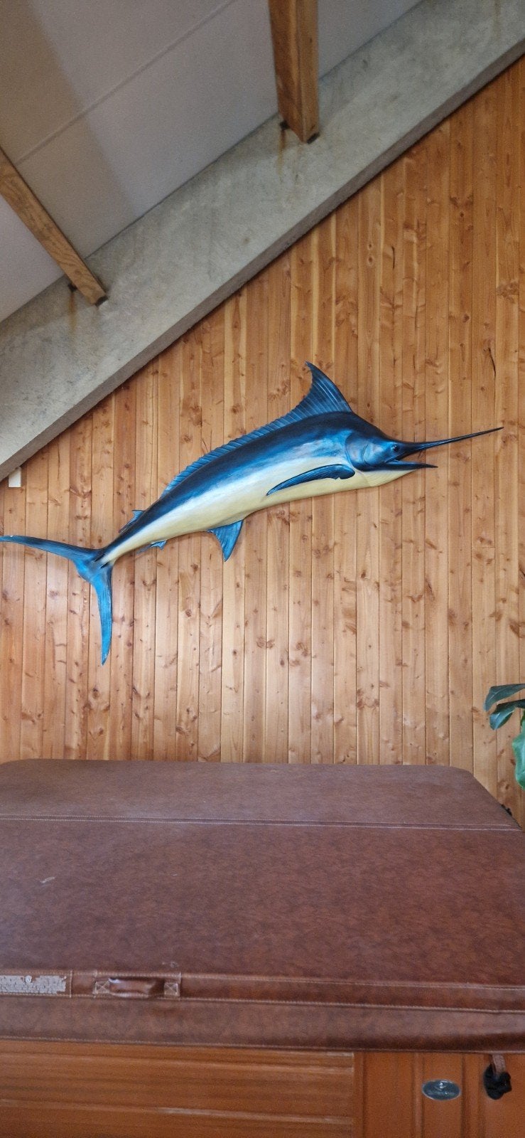 Grote decoratieve zwaardvis van 3 meter!, Ophalen