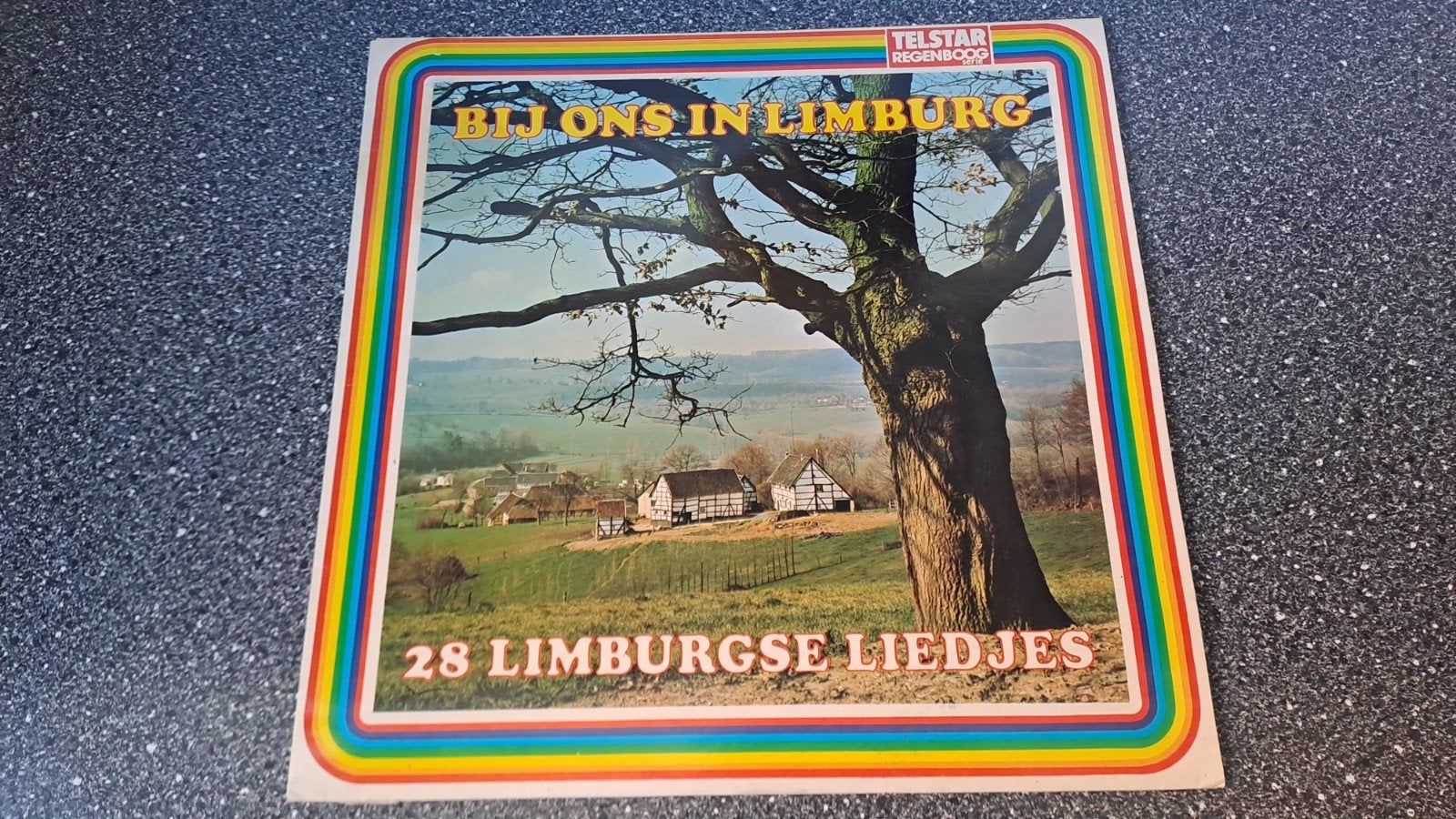 Bij Ons In Limburg - 28 Limburgse Liedjes LP, LP, Gebruikt, Ophalen of Verzenden, Complilatie