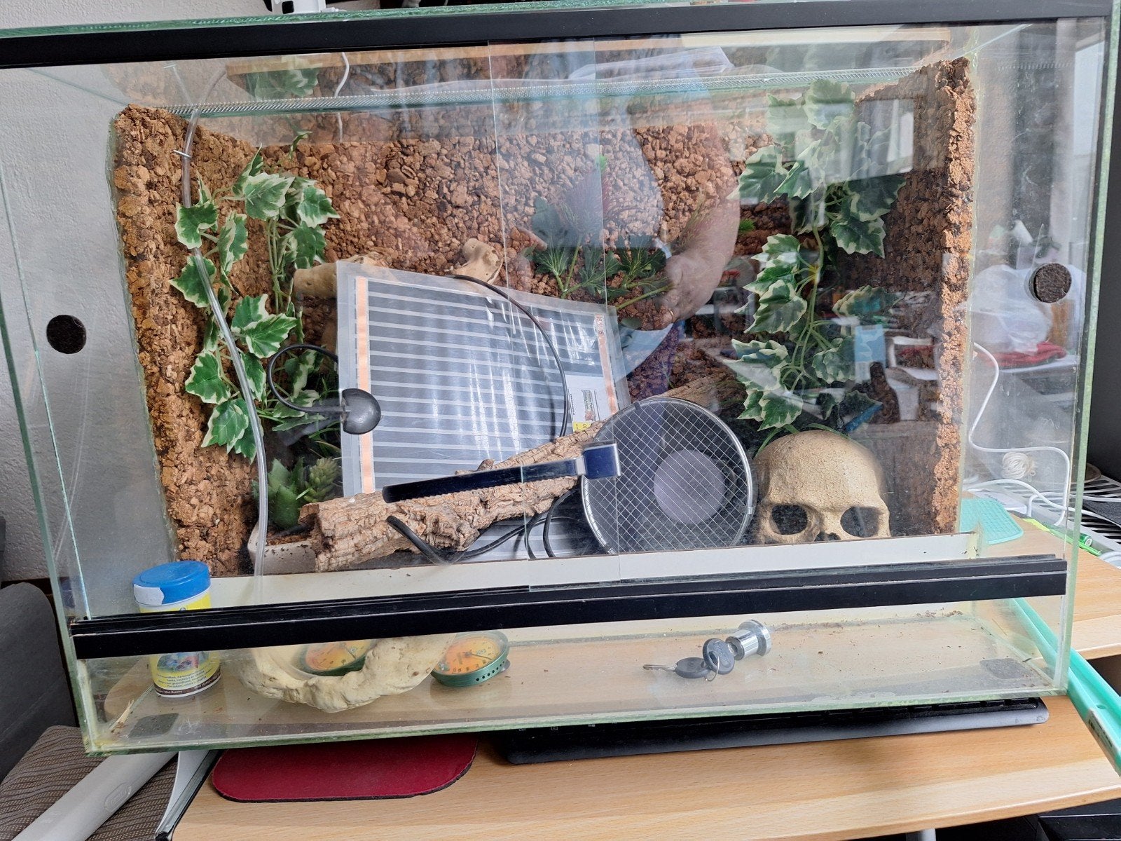 Terrarium, Ophalen, Gebruikt, Onbekend, Onbekend