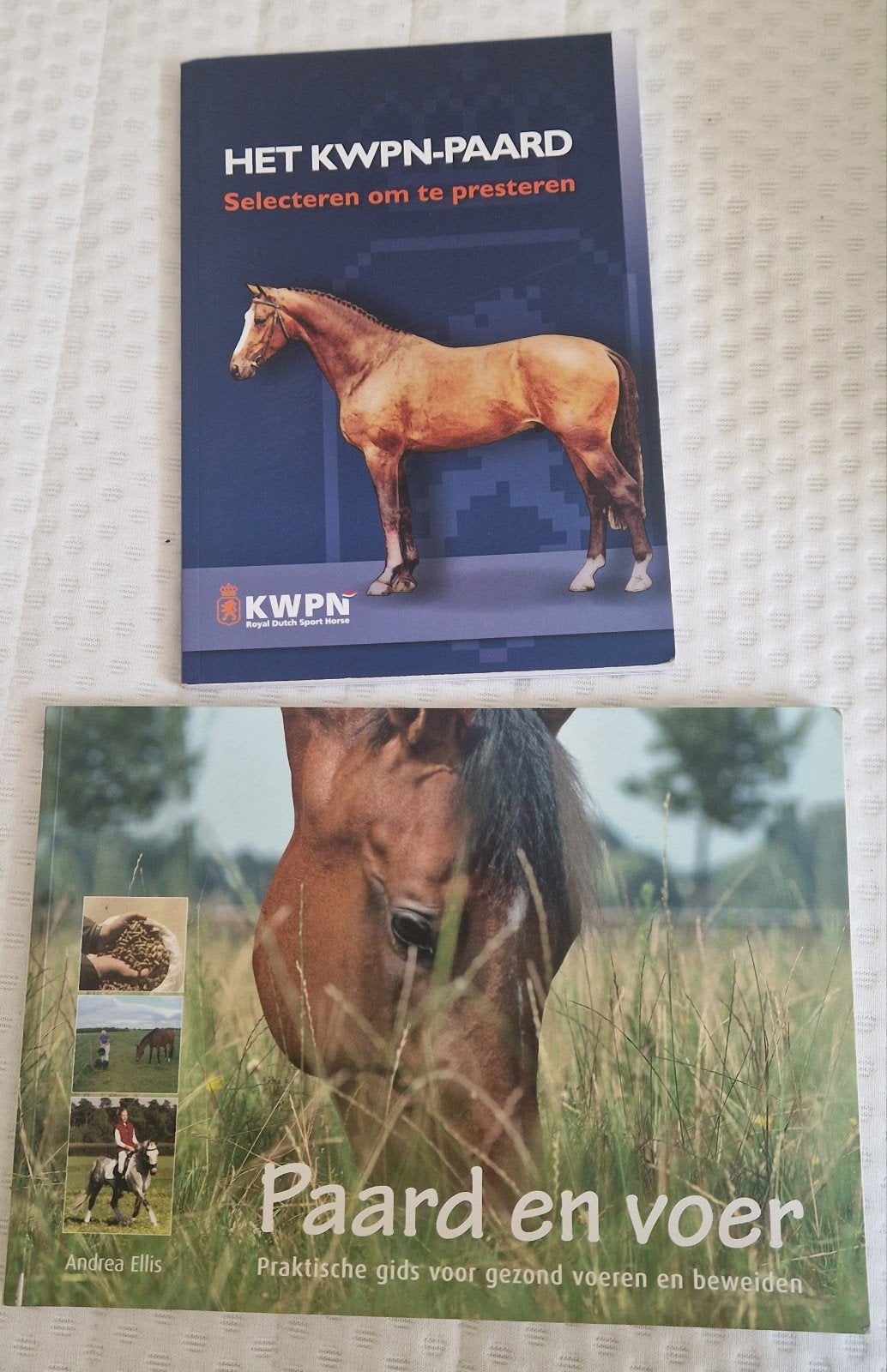 Schoolboeken voor paardenopleiding, Boeken, Ophalen of Verzenden, Zo goed als nieuw, Honden
