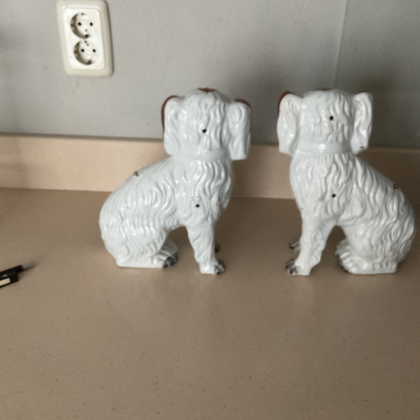Staffordshire spaniel kasthonden, Ophalen, Zo goed als nieuw, Dier