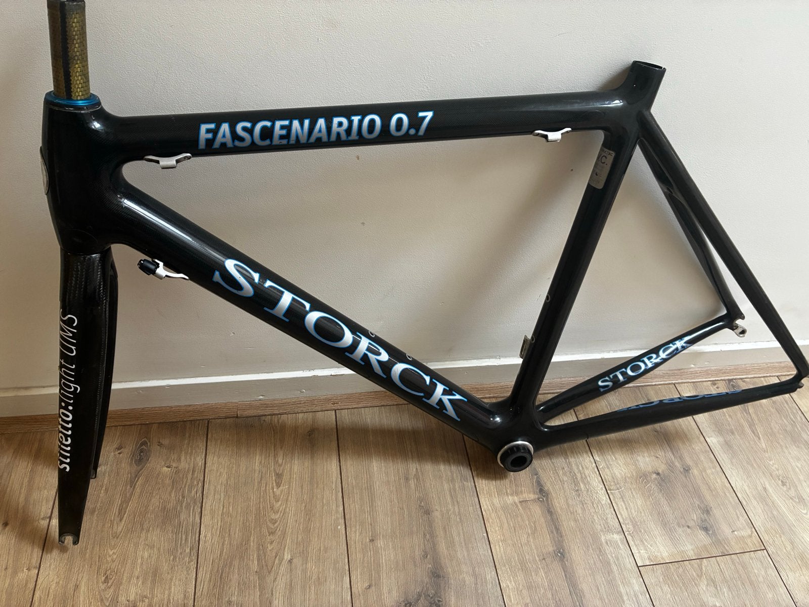 Storck Fascenario 0.7 frameset met UMS voorvork - 57 cm, Frame, Gebruikt, Ophalen of Verzenden, Racefiets