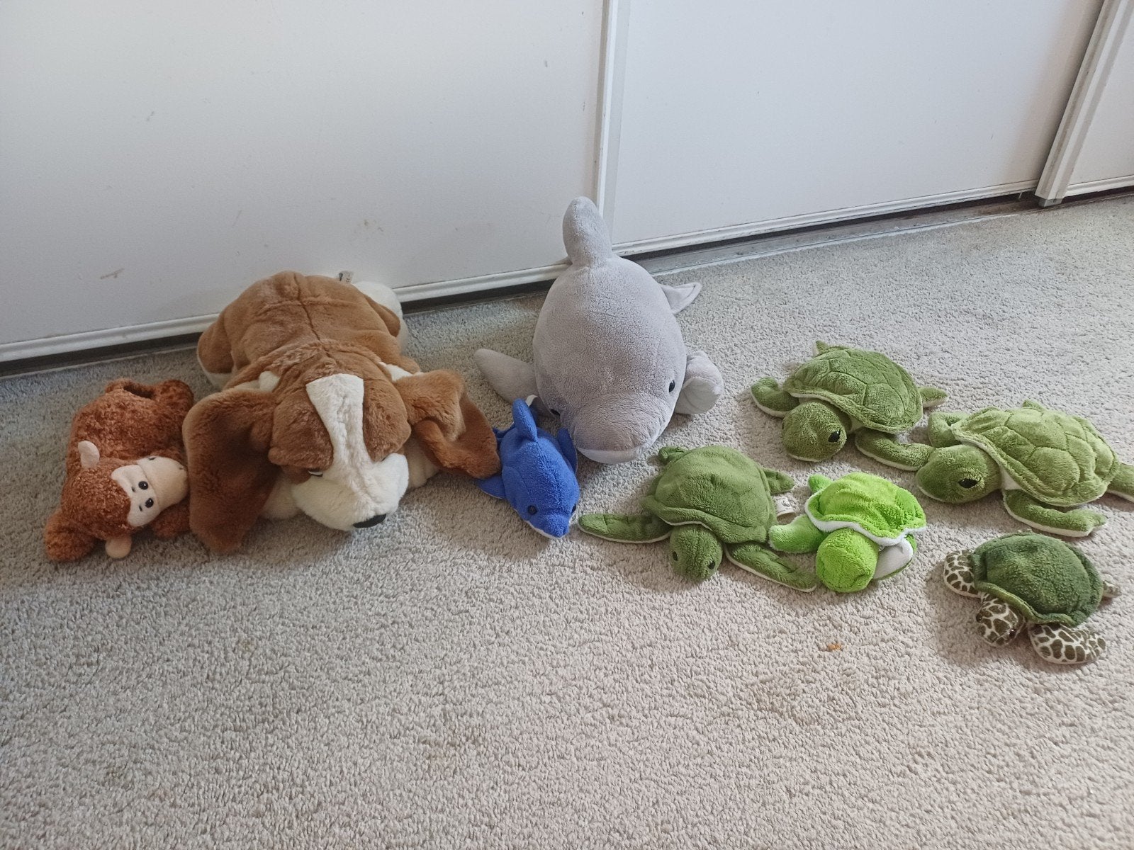 Diverse knuffels: hond, aap, dolfijn, schildpad, Gebruikt, Overige typen, Ophalen of Verzenden, Meerkleurig