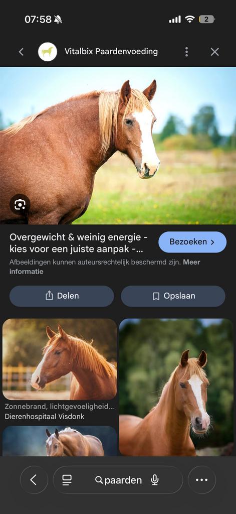 Verzorg paard pony gezocht, Ophalen, Nieuw