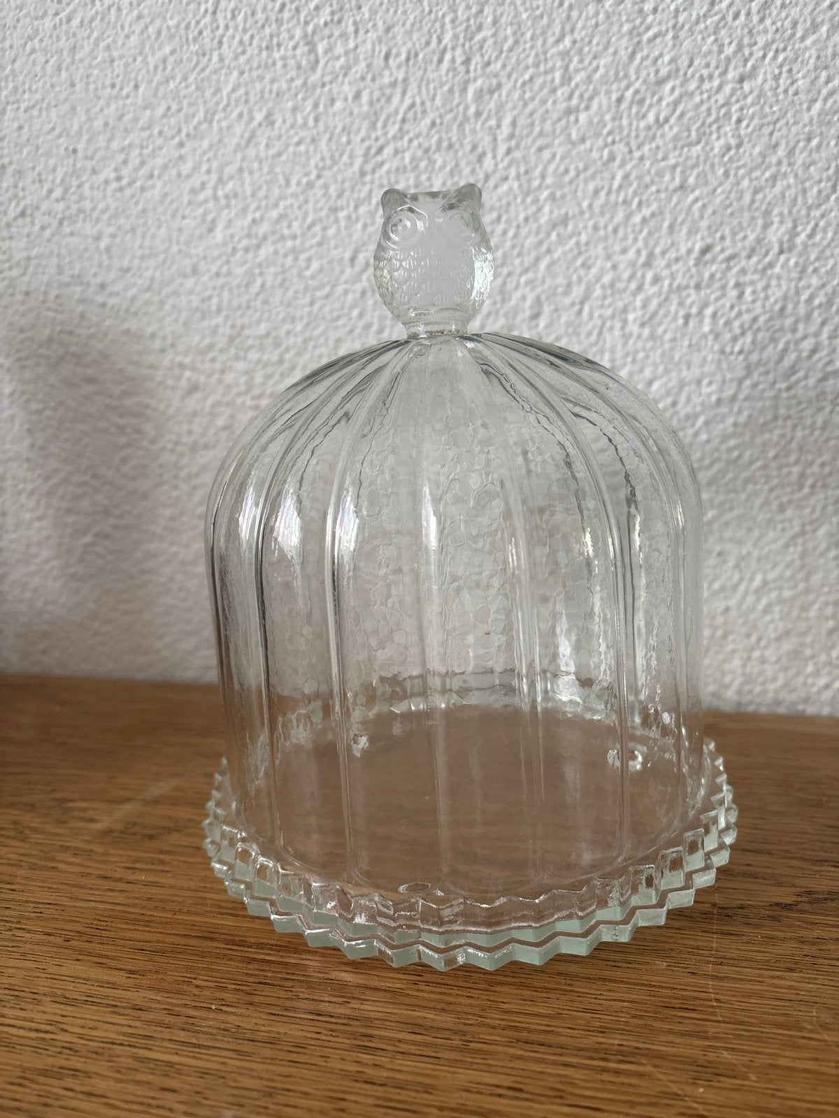 Glazen stolp met uilendecoratie, Ophalen of Verzenden
