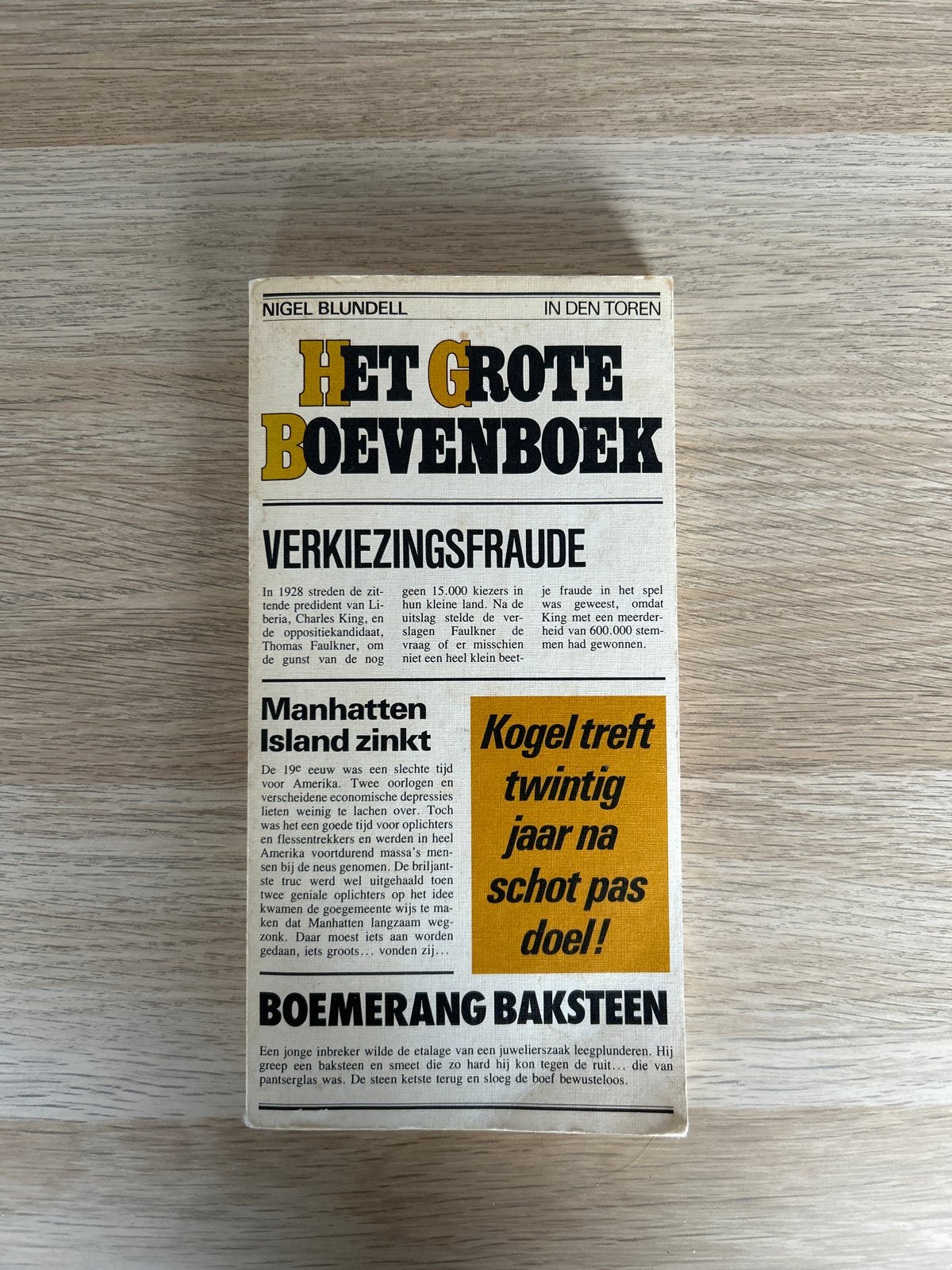 Het Grote Boevenboek - Nigel Blundell, Ophalen of Verzenden, Gelezen