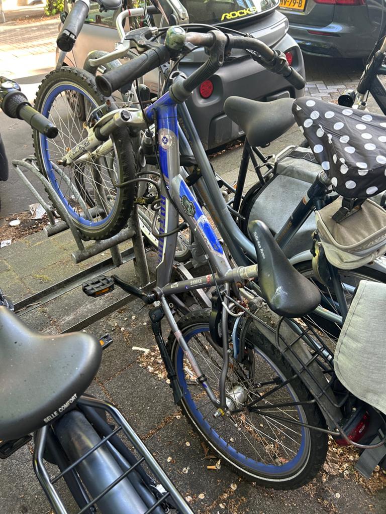 Batavia Snake Fiets 22”, Fietsen en Brommers, Ophalen of Verzenden, Gebruikt, 20 inch of meer