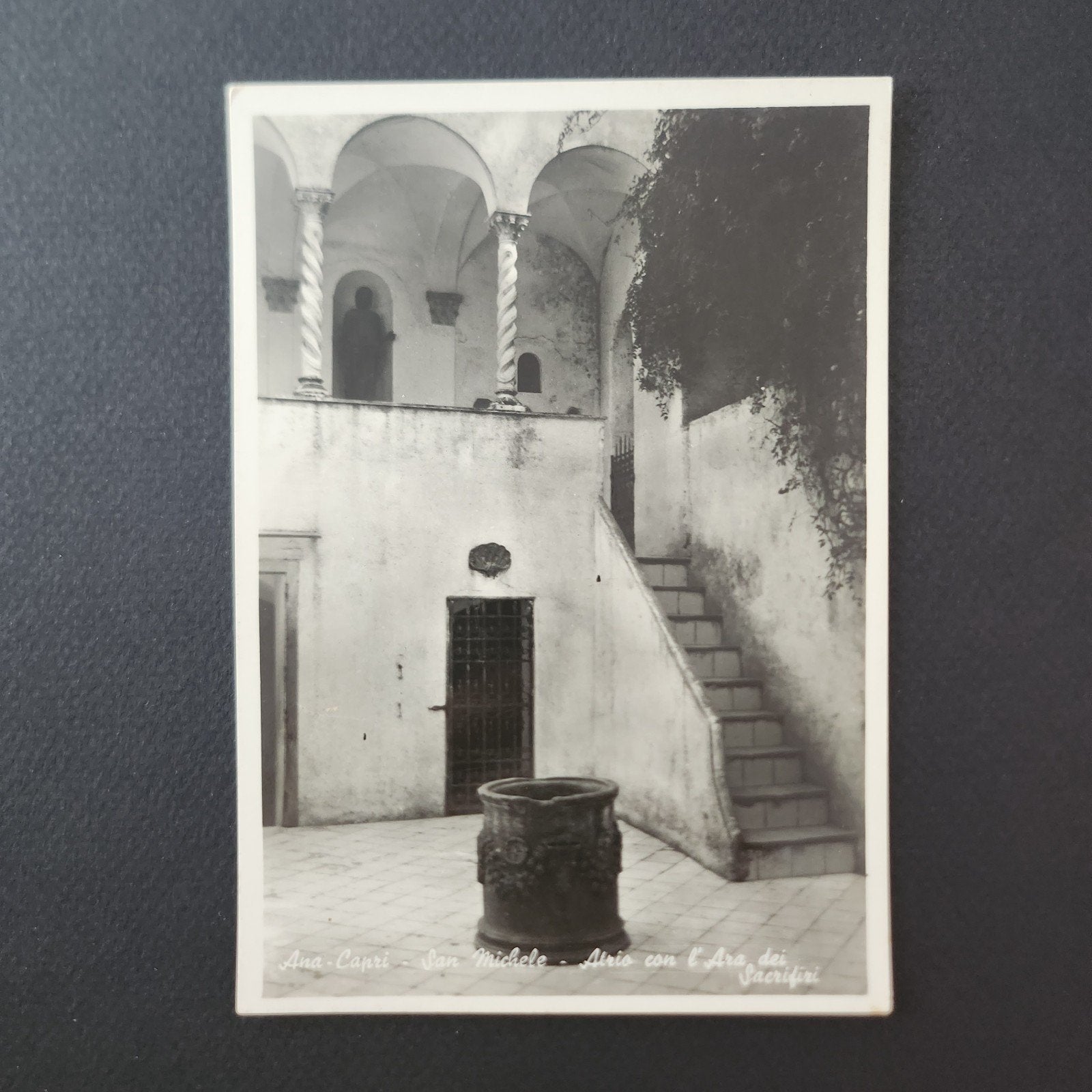 Echte foto kaart Ana-Capri San Michele Atrio con l'Ara, Ophalen of Verzenden, 1940 tot 1960, Ongelopen, Italië