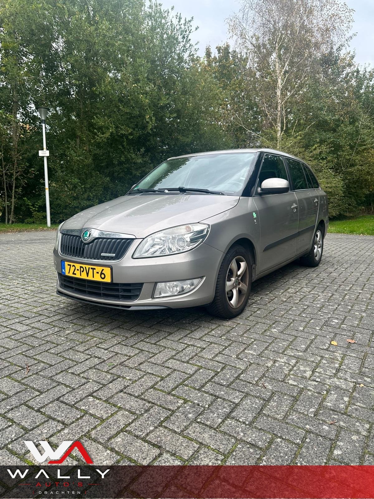 Skoda Fabia Combi 1.2 TDI Greenline, Auto's, Voorwielaandrijving, Euro 5, 1199 cc, Beige