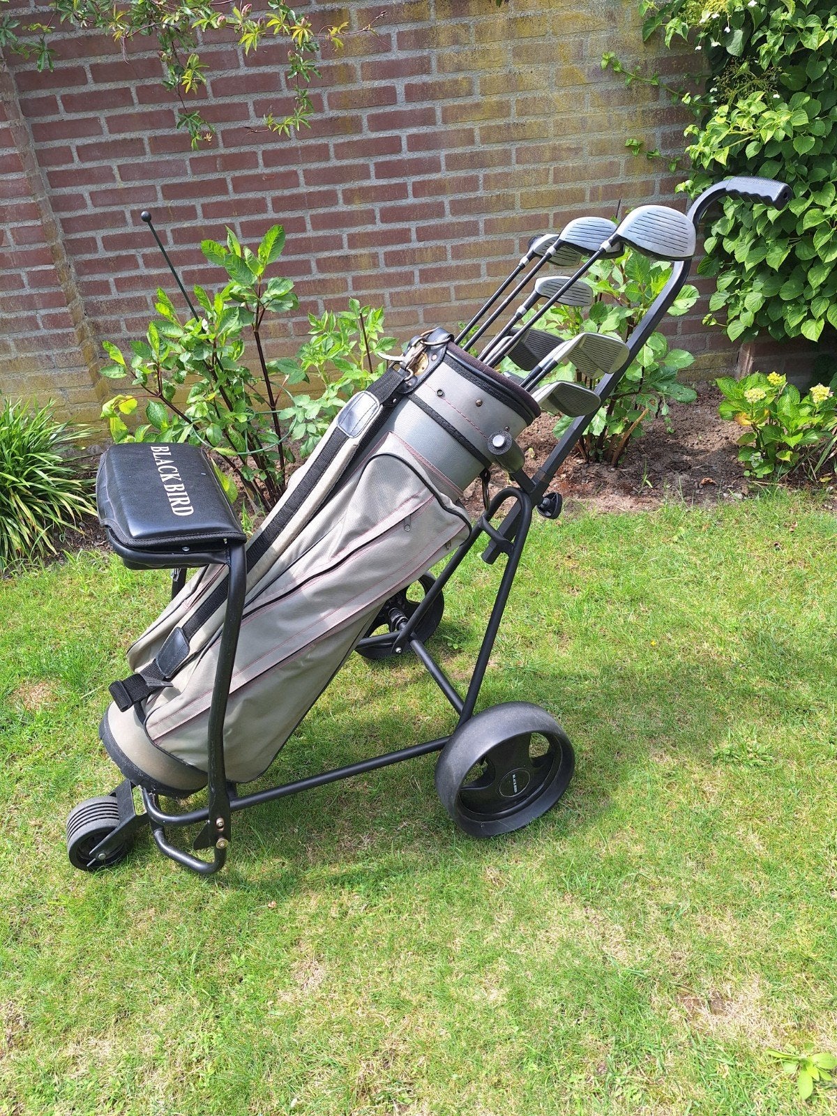 Complete heren golfset Dunlop met golftrolley en zitje, Ophalen, Zo goed als nieuw, Set