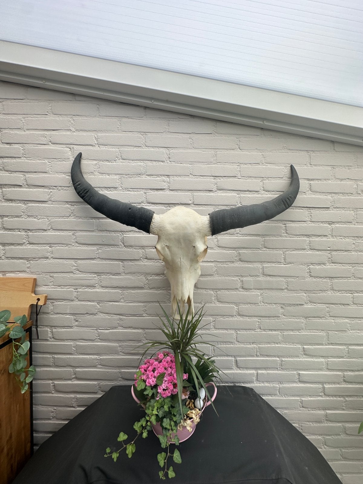 Schedel met hoorn/Longhorn, Huis en Inrichting, Woonaccessoires | Overige, Ophalen, Natuurlijk materiaal, Wit, Landelijk