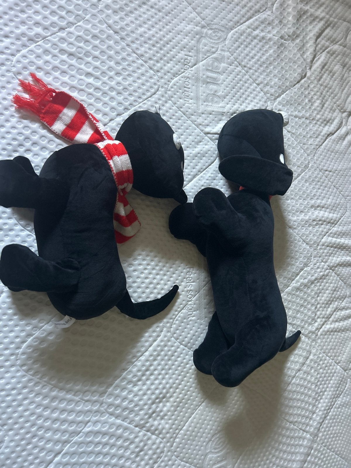 Takkie en Siepie (kat en hond) - Zo goed als nieuw, Kinderen en Baby's, Speelgoed | Knuffels en Pluche, Overige karakters, Zwart