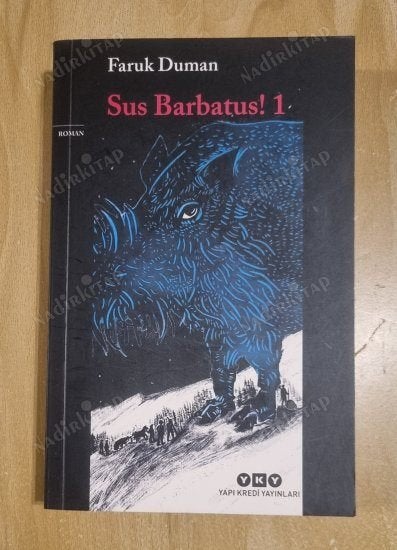 Turkse boeken (Türkçe Roman), Ophalen of Verzenden, Zo goed als nieuw