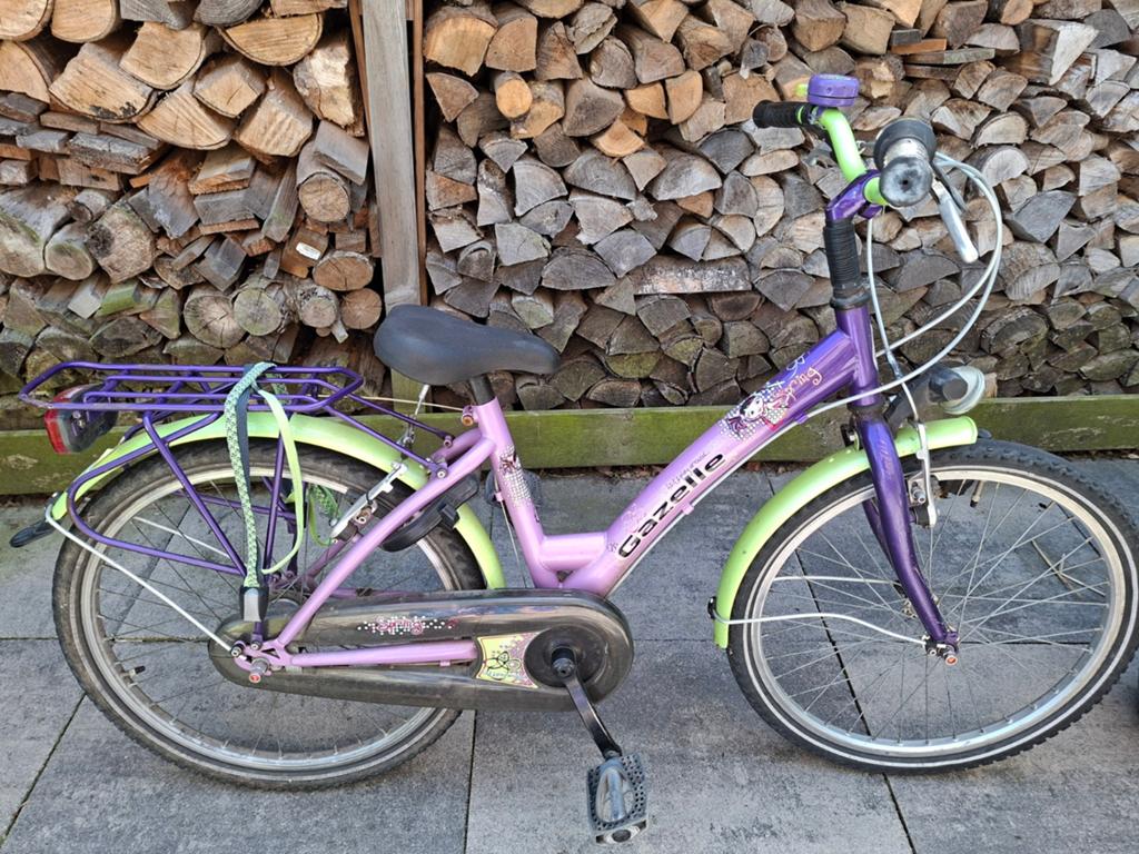 Gazelle kinderfiets 22 inch - paars/groen, Fietsen en Brommers, Ophalen, 22 inch, Gebruikt, Velgrem