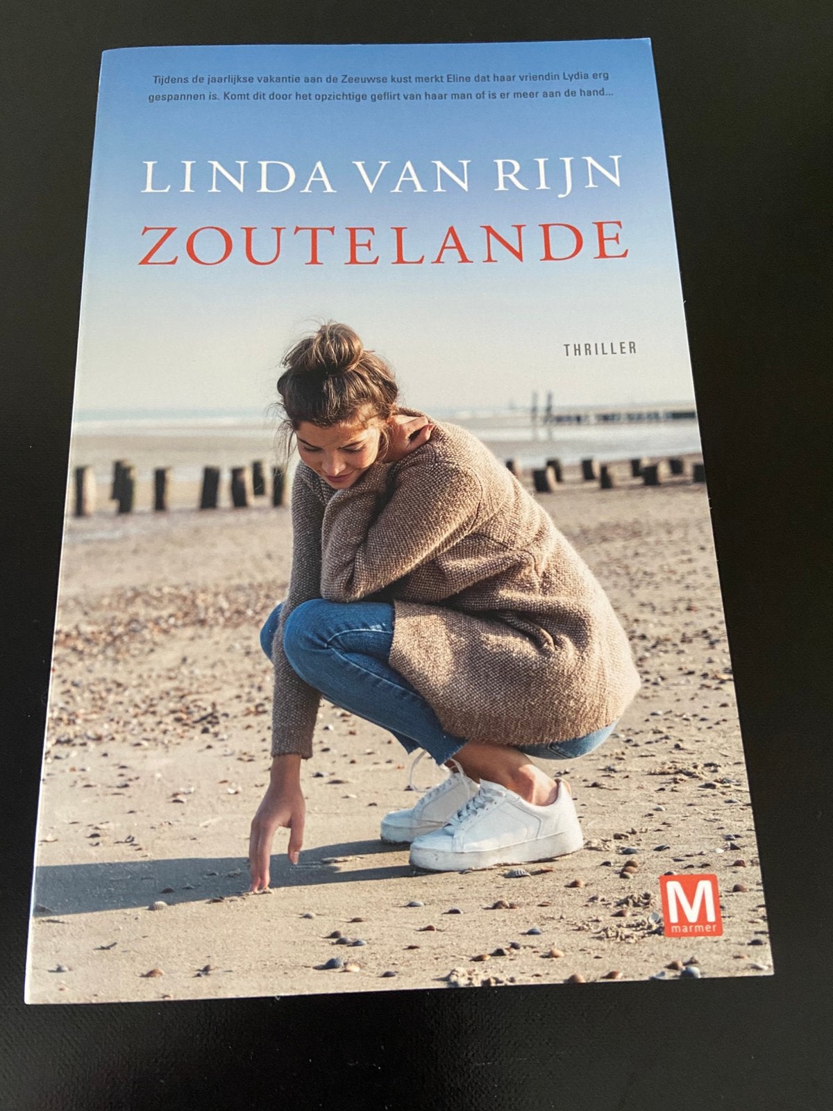 Boek: Zoutelande van Linda van Rijn, Boeken, Ophalen of Verzenden, Zo goed als nieuw, Nederland