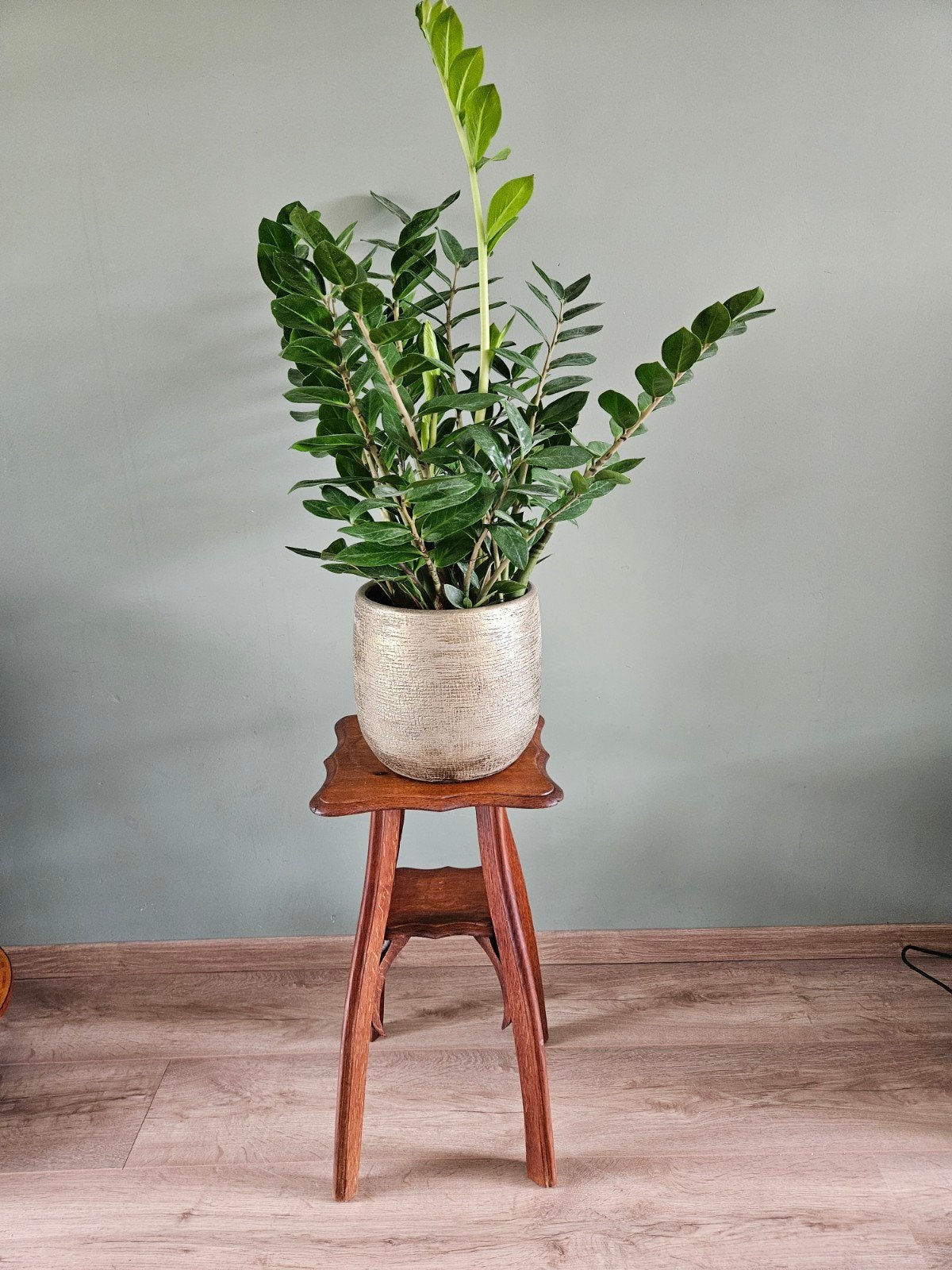 Antieke / vintage houten plantentafel / bijzettafel, Ophalen of Verzenden