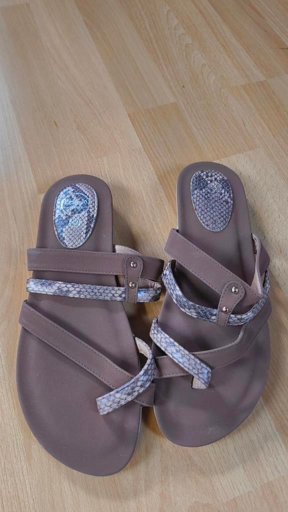 Nieuwe slippers Kelly jo maat 42 draagmaat 41, Kleding | Dames, Schoenen, Ophalen, Bruin, Nieuw, Sandalen of Muiltjes