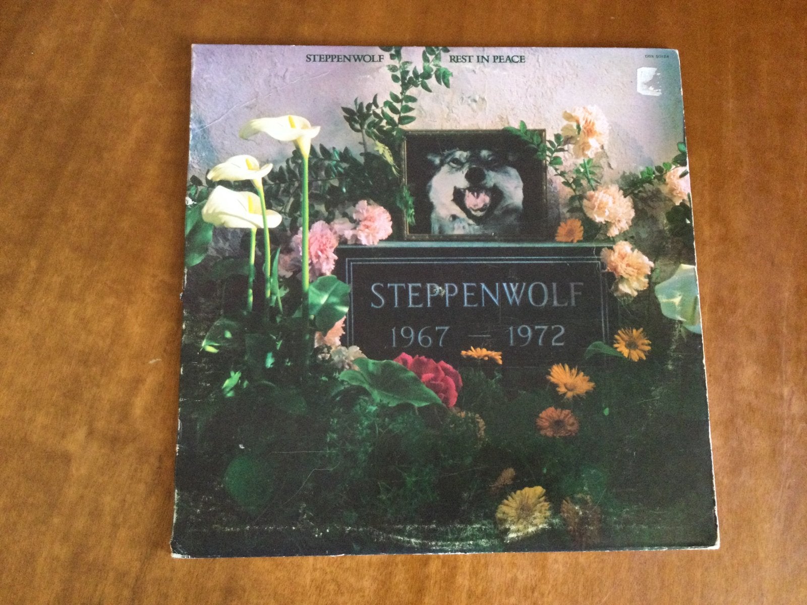 LP Steppenwolf, Ophalen of Verzenden, Gebruikt, 12 inch, Progressive Rock