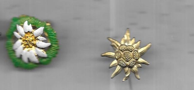 2 EDELWEISS BLOEMEN 1 BROCHE SPELD 1 SPELD, Ophalen of Verzenden, Gebruikt, Sport, Speldje of Pin