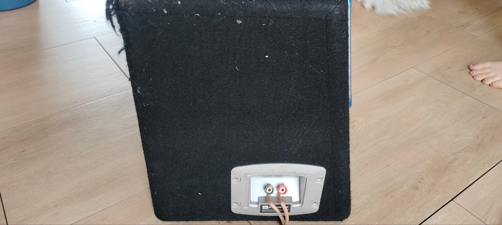 subwoofer, Ophalen of Verzenden, Zo goed als nieuw, 120 tot 150 watt, Subwoofer