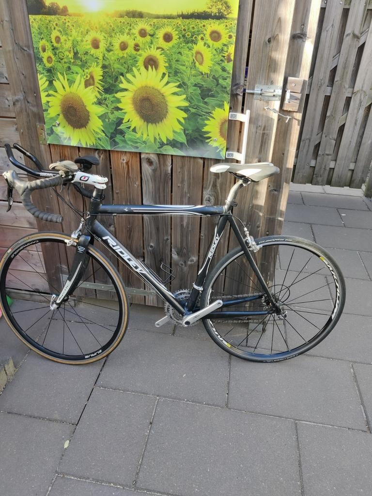 Ridley tijdritfiets met Look pedalen., Ophalen of Verzenden, Gebruikt, Meer dan 20 versnellingen, Overige merken