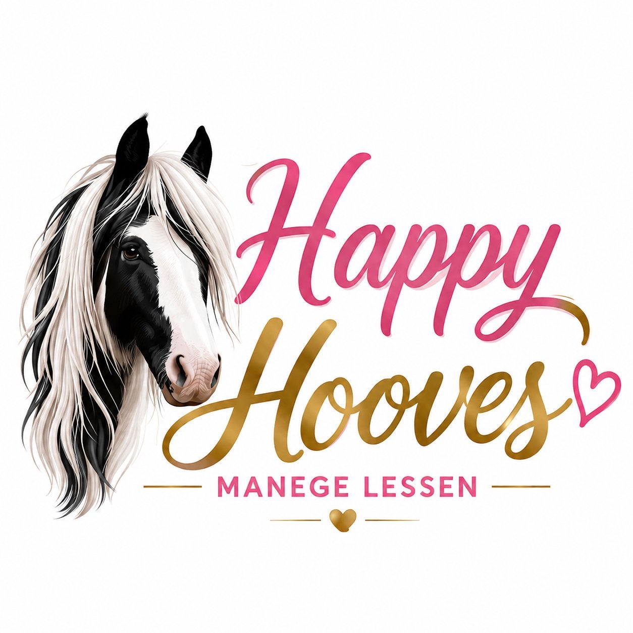Manege lessen Happy Hooves, Overige merken, Ophalen, Nieuw, Overige typen
