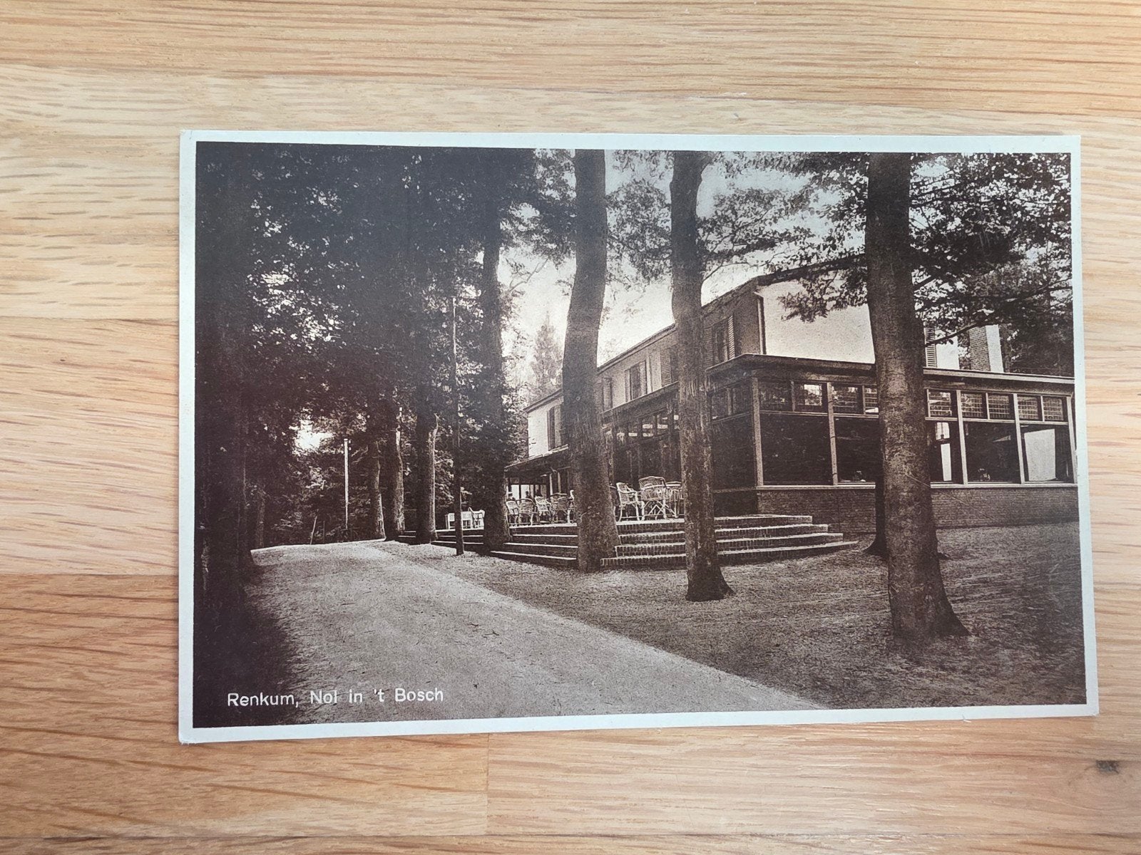 Oude ansichtkaart Renkum, 'Nol In 't Bosch', Ophalen of Verzenden, 1920 tot 1940