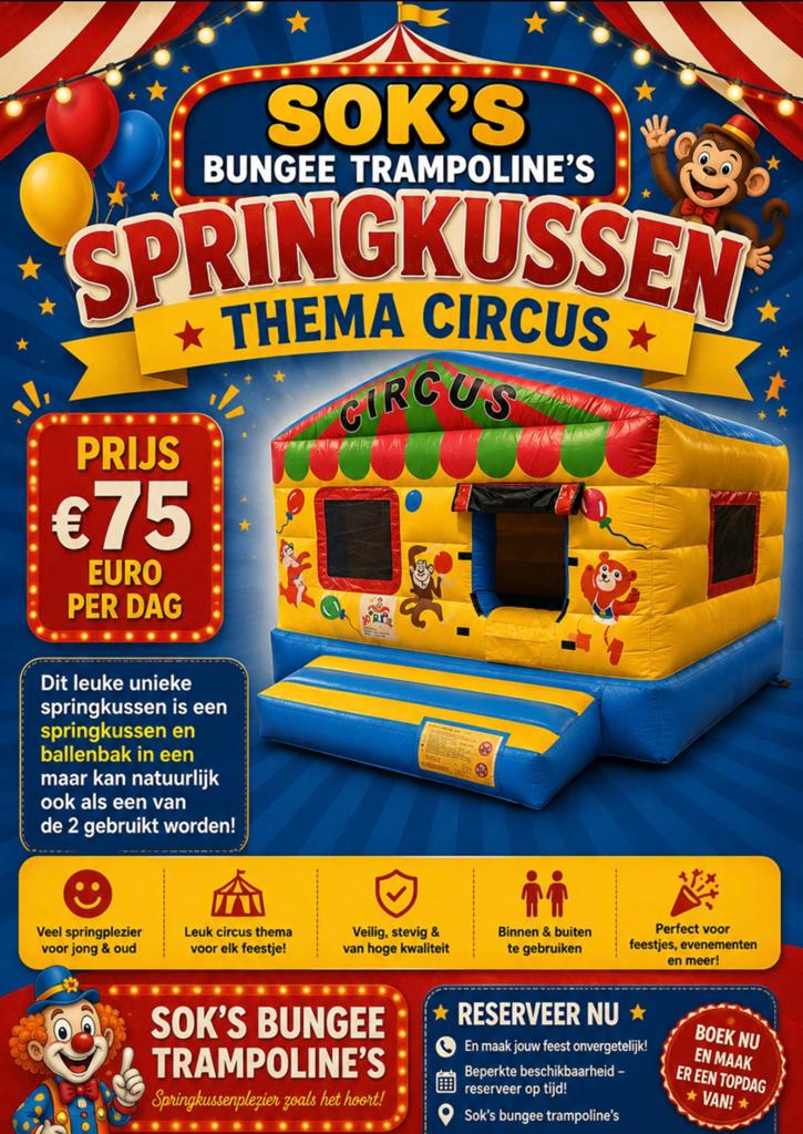 Springkussen ballenbam circus €75 per dag, Ophalen of Verzenden, Nieuw