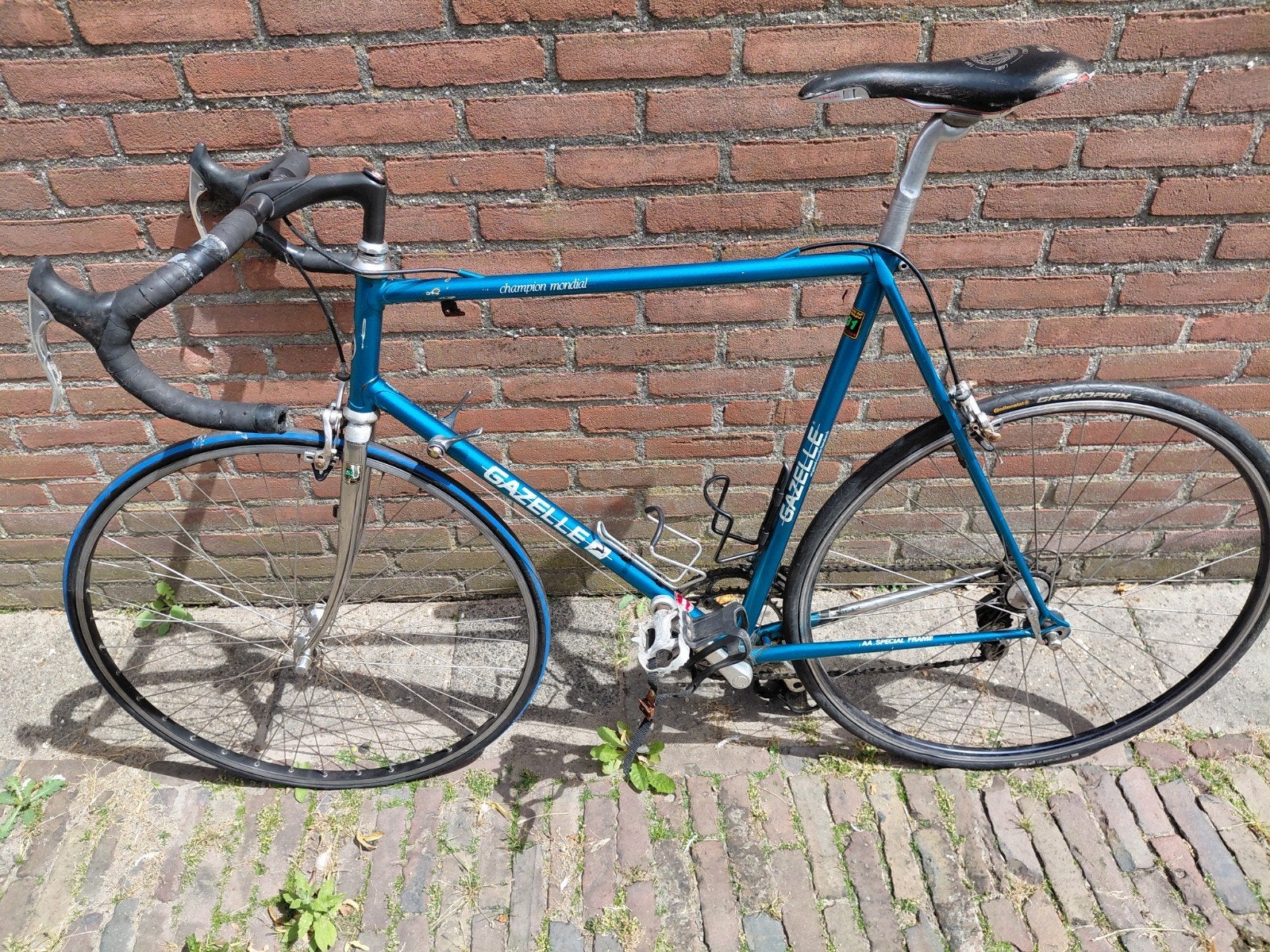 Gazelle champion mondial, 55 tot 59 cm, Ophalen