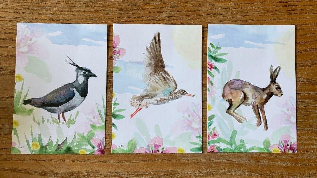 Ansichtkaarten set Dujardin - Skrok en skrins (nieuw), Ophalen of Verzenden, 1980 tot heden, Ongelopen, Natuur