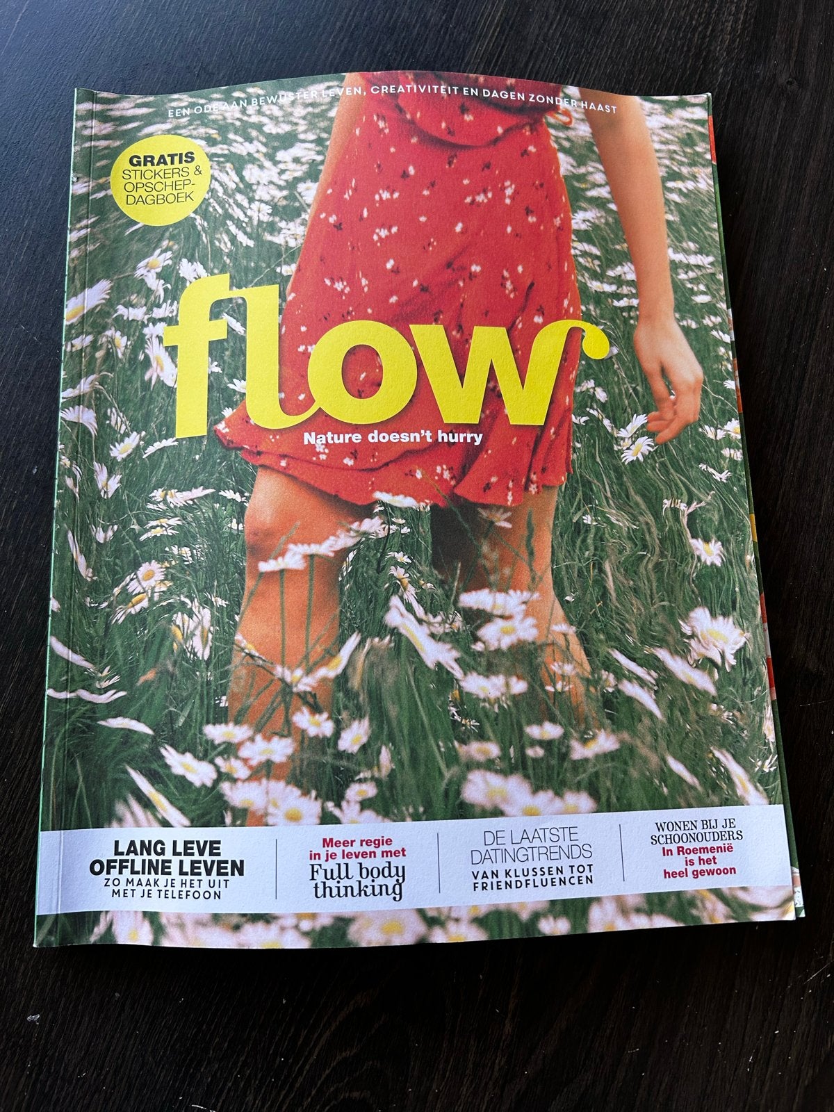 Flow Magazine - Nummer 8, Jaar 2026, Ophalen of Verzenden, Gelezen, Glossy