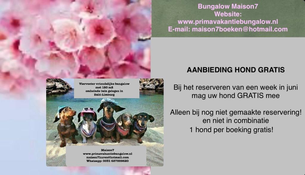 Aanbieding gerenoveerde bungalow zuid-Limburg hond gratis, Twee personen
