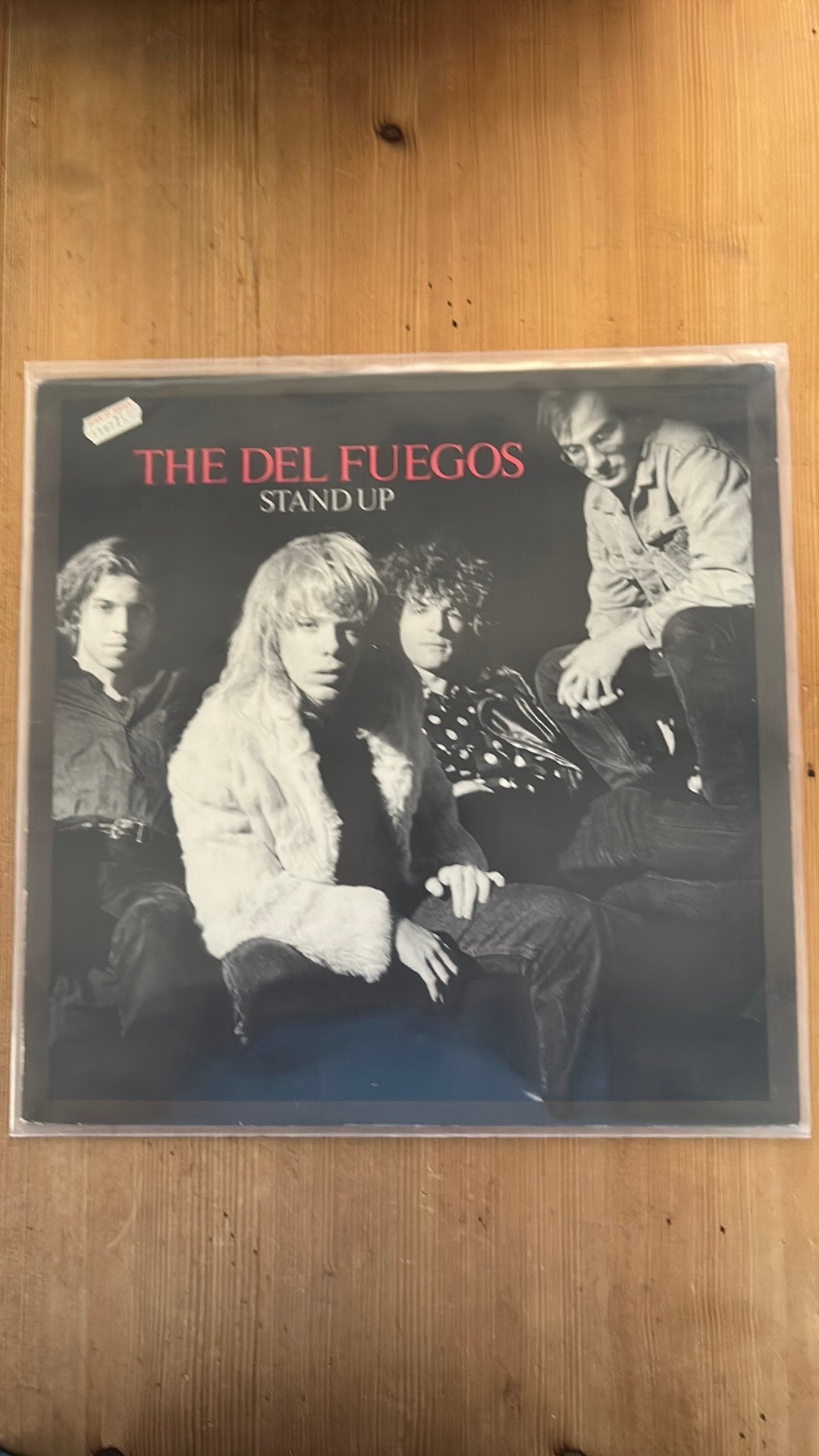 The Del Fuegos - Stand Up LP (Pop/Rock), LP, Rock, Gebruikt, Ophalen of Verzenden